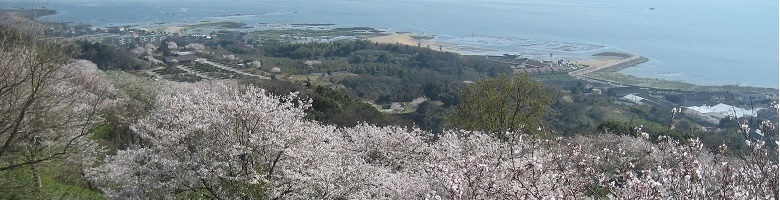 竜王山公園2